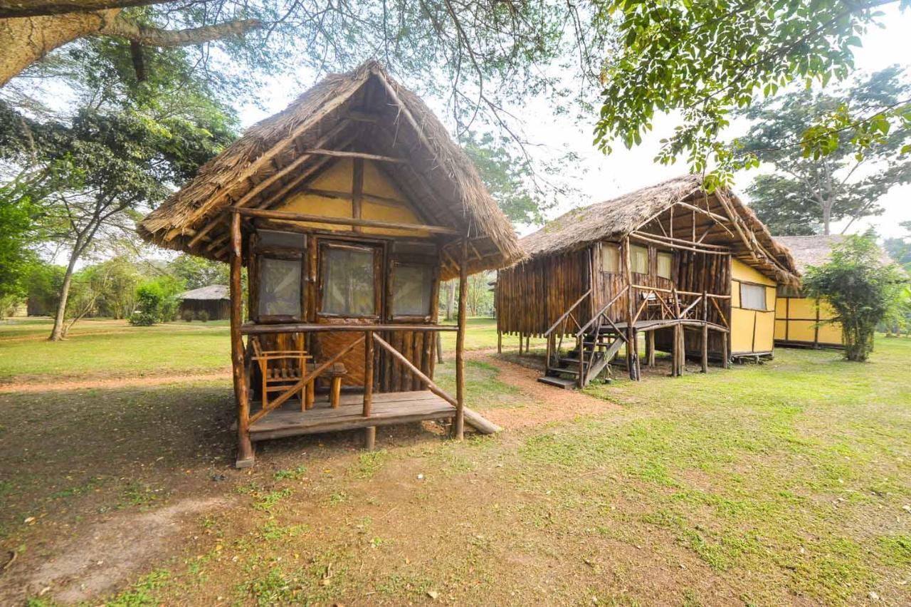 Bullbush River Camp Kihihi Exterior foto